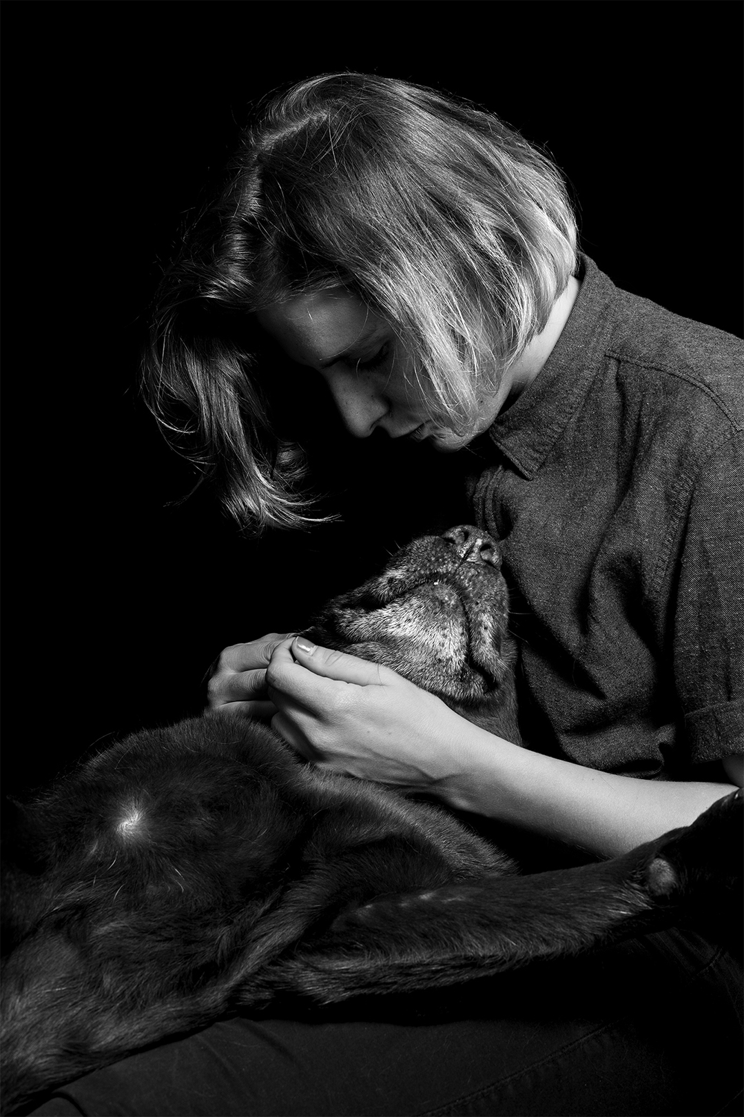Amor animal