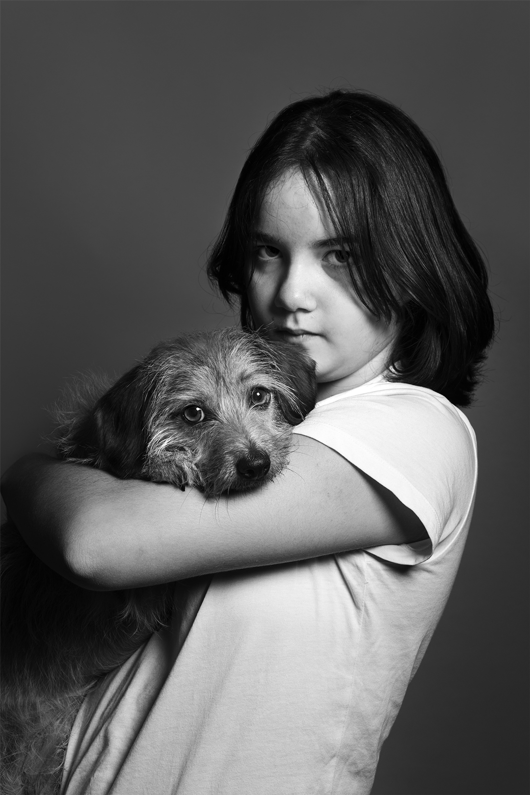 Amor animal